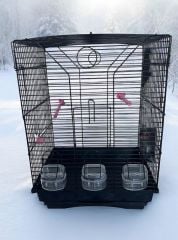 Sultan Papağanı Kafesi