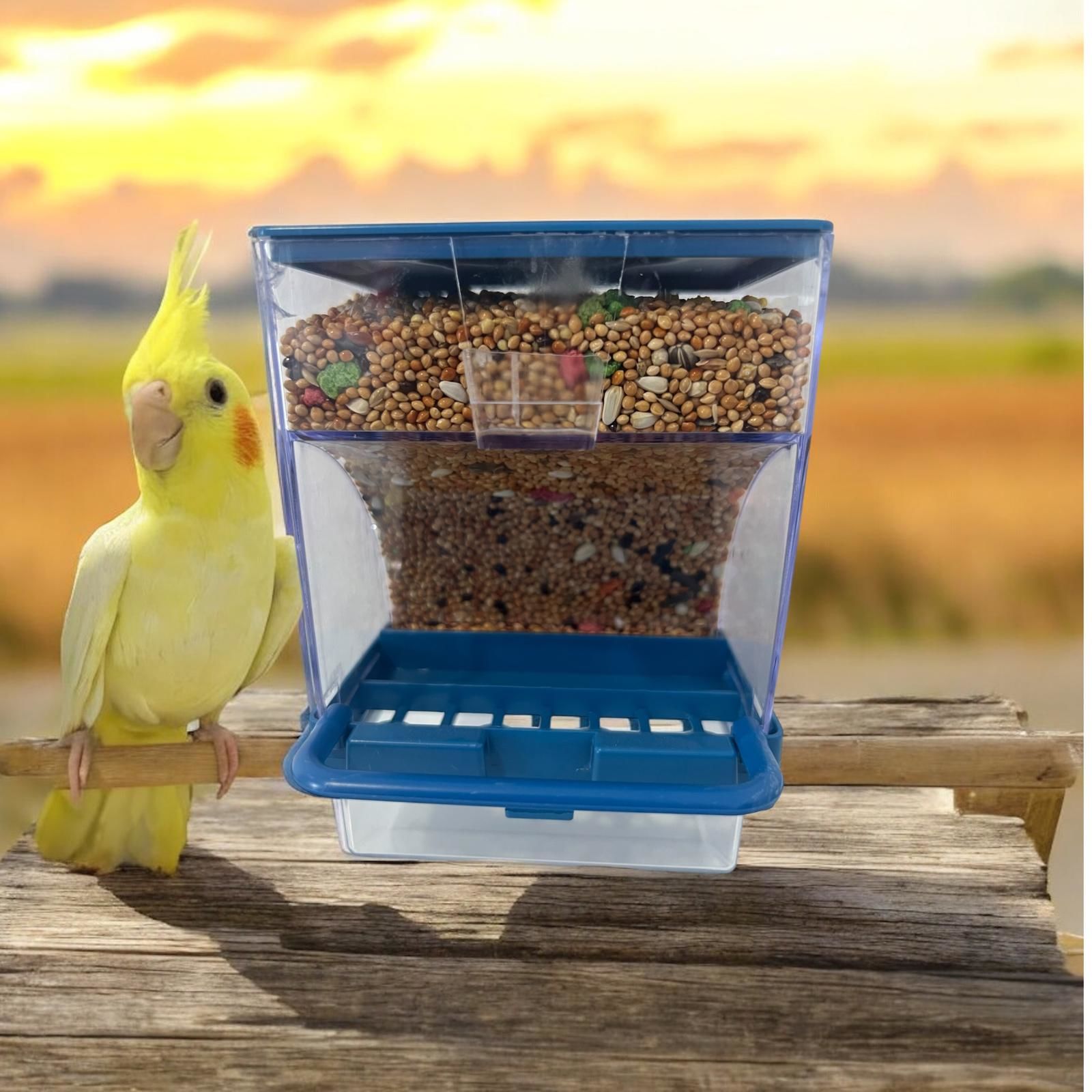 Akıllı Kuş Yemliği, Tünekli, Sarı,Beyaz, Kırmızı, Mavi Renklerde