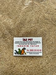 AK DARI, MUHABBET KUŞU YEMİ