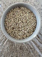 ASPUR. SADE KANARYA YEMİ 1 KG.