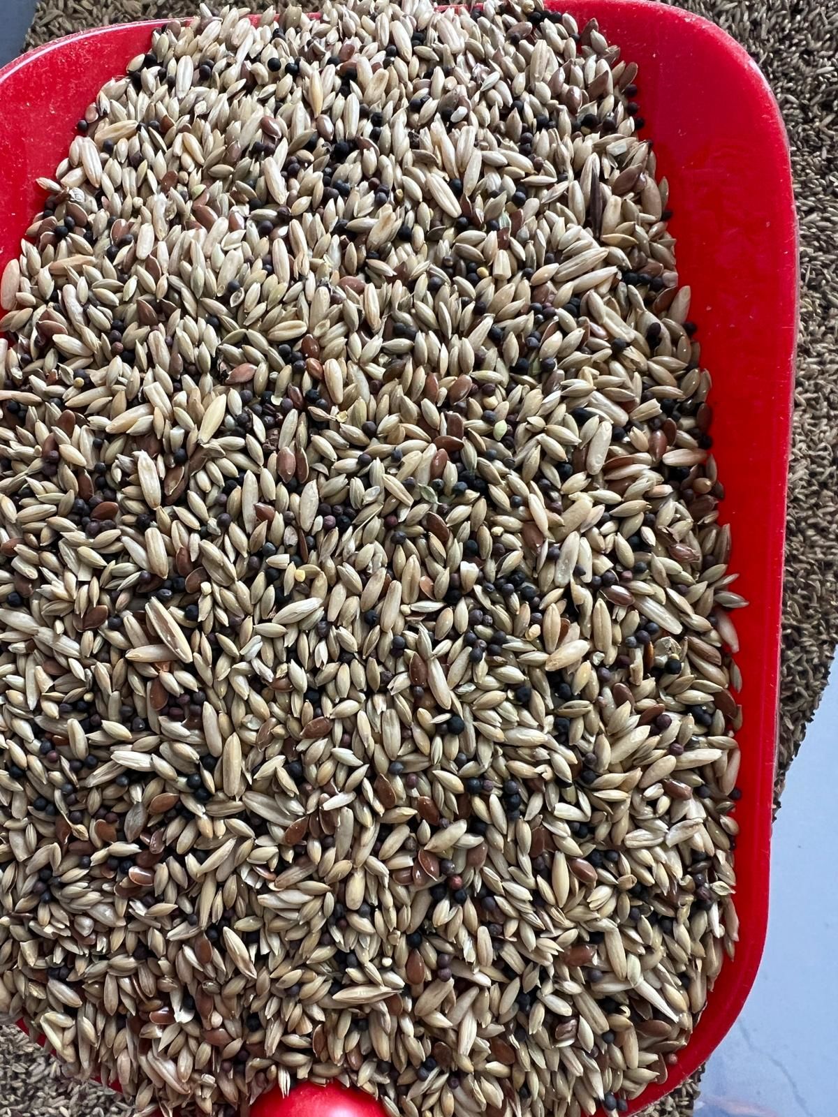 KARIŞIK KANARYA YEMİ 1 KG.