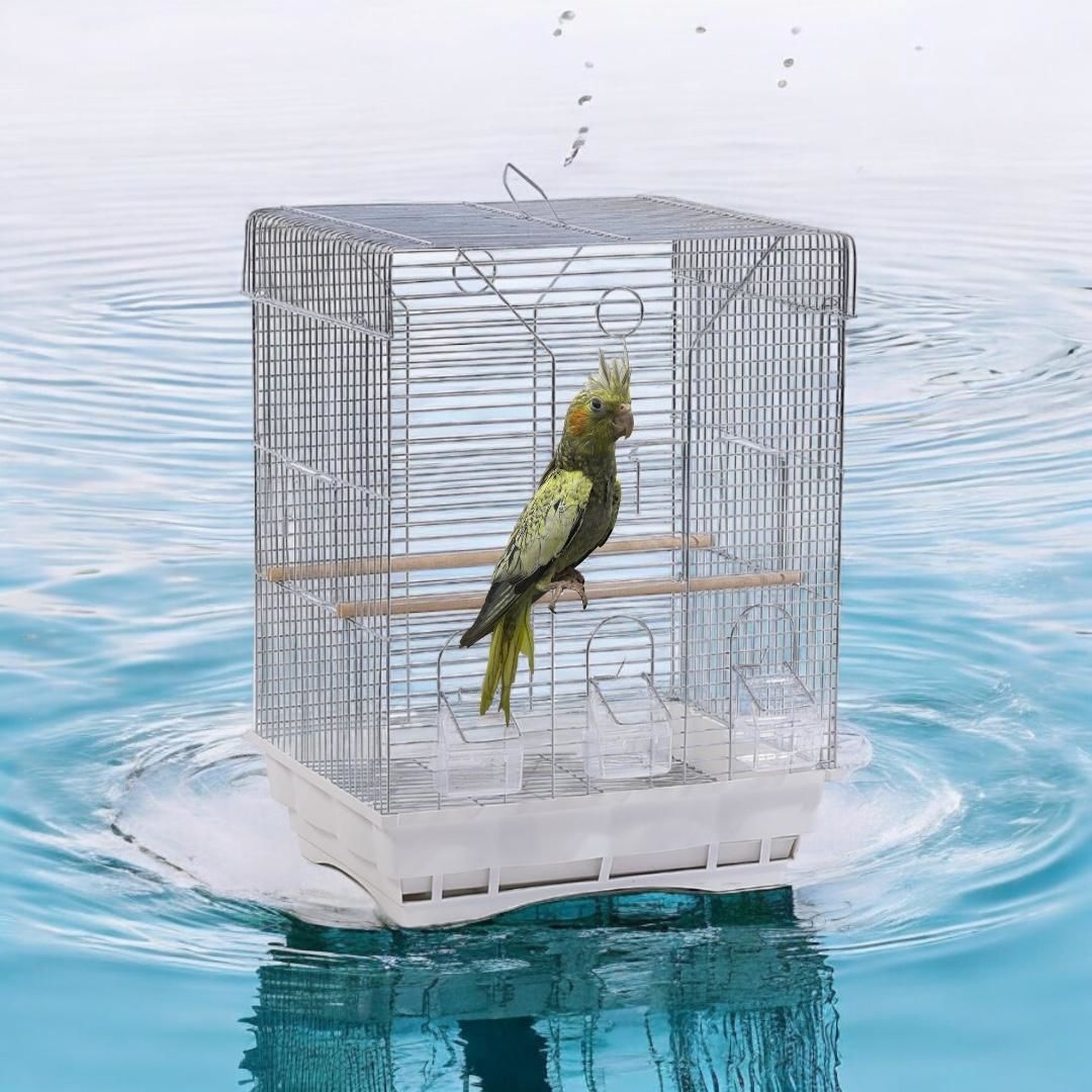 SULTAN PAPAĞANI KAFESİ 60X33X43 CM