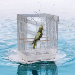 SULTAN PAPAĞANI KAFESİ 60X33X43 CM