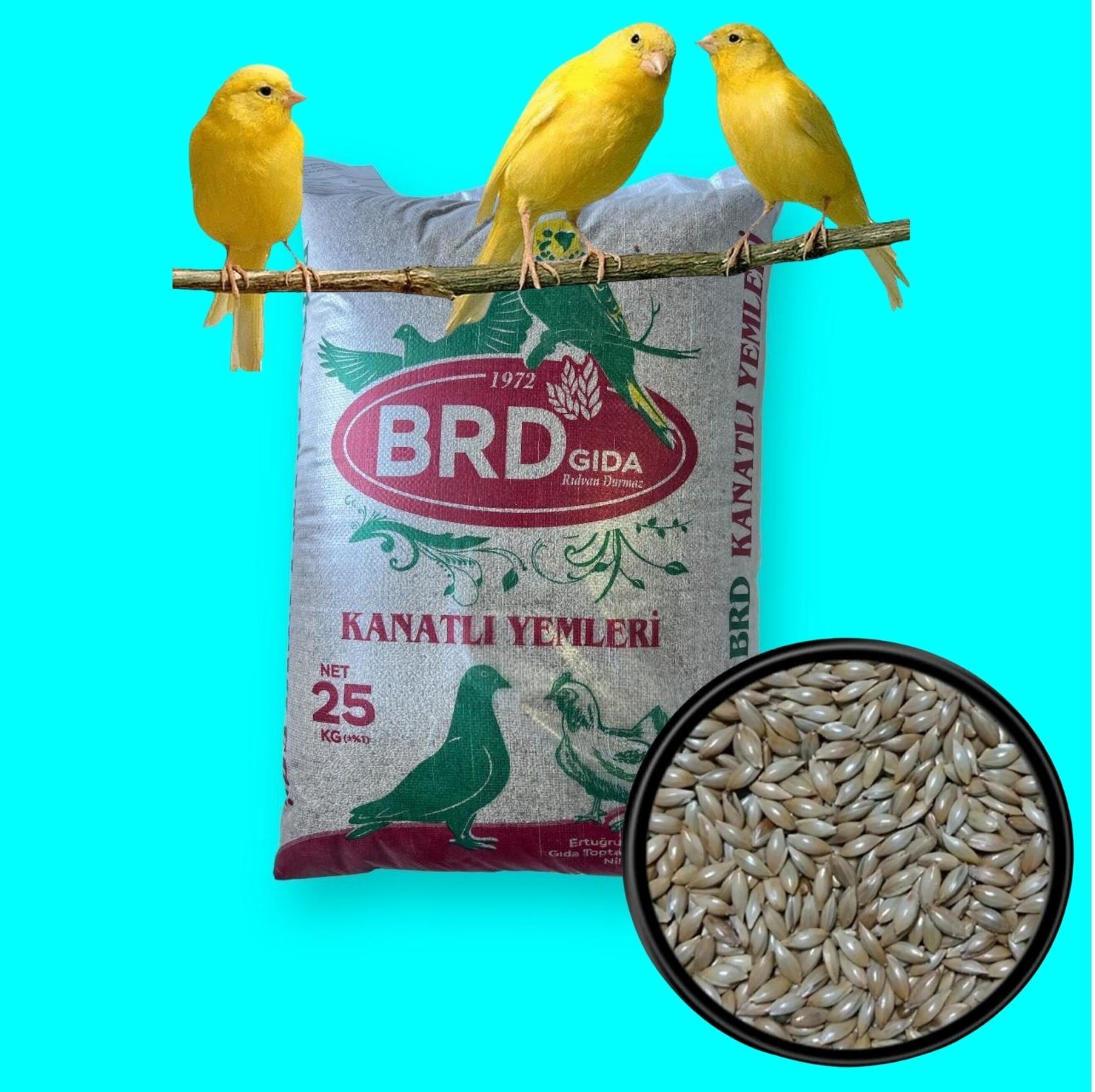 ASPUR, SADE, KANARYA YEMİ 25 KG.