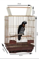 JAKO PAPAĞAN KAFESİ