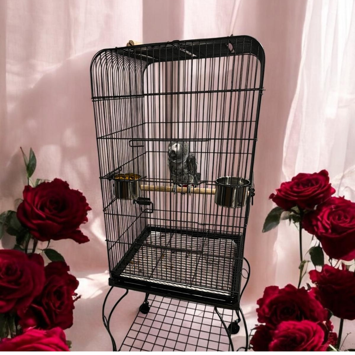 PAPAĞAN KAFESİ SİYAH 51X51X140