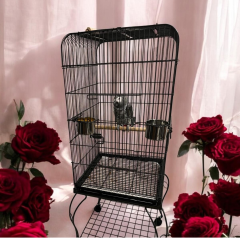 PAPAĞAN KAFESİ SİYAH 51X51X140