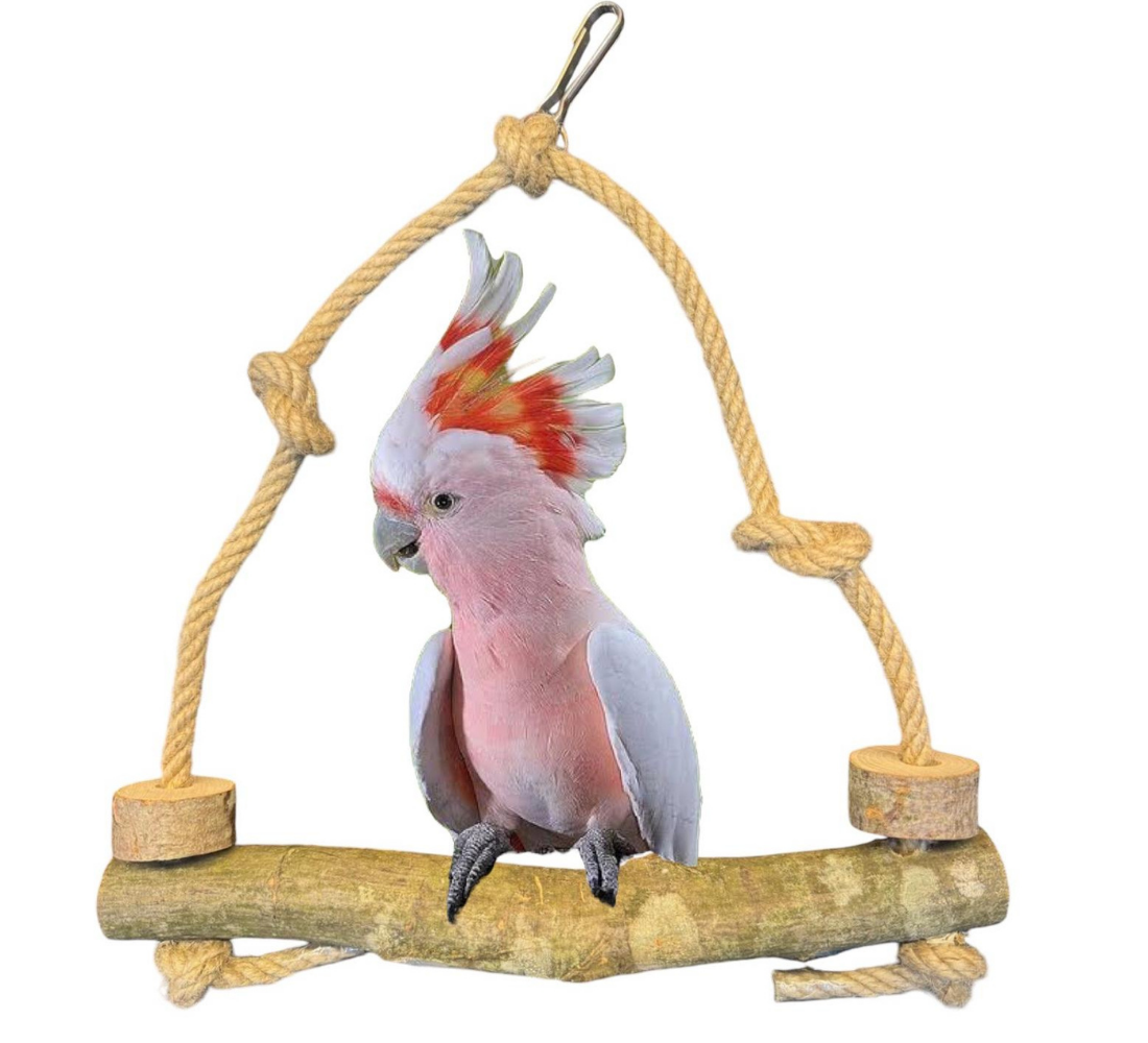 DOĞAL PAPAĞAN SALINACAK TÜNEK