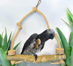 DOĞAL PAPAĞAN SALINACAK TÜNEK